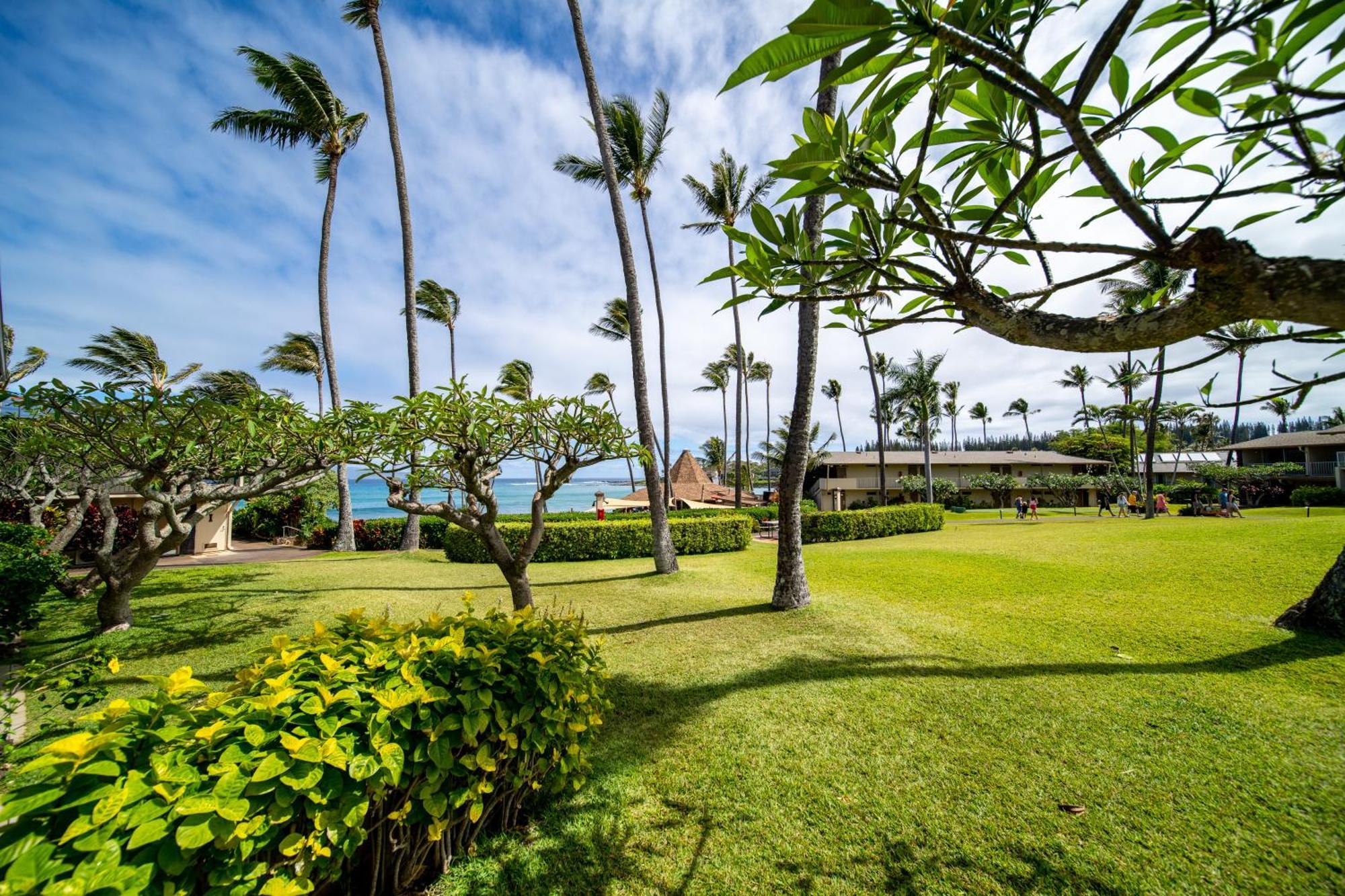 Napili Shores Maui By Outrigger - No Resort & Housekeeping Fees Lahaina Kamer foto